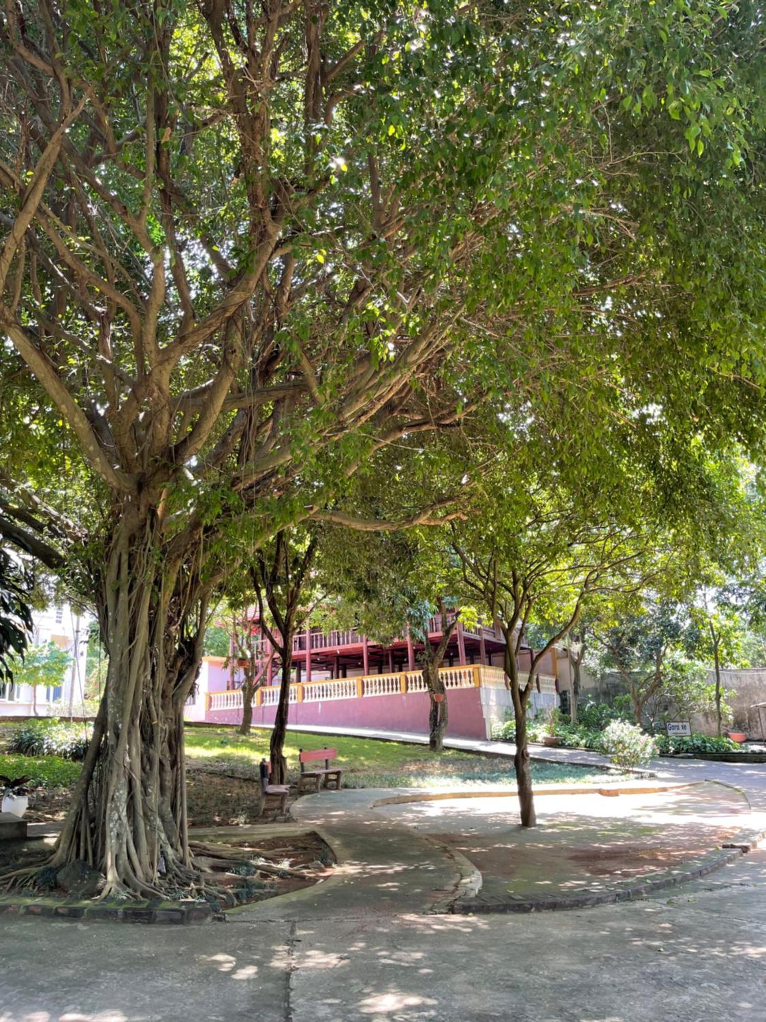 Thien Binh Hotel Hòa Bình Zewnętrze zdjęcie