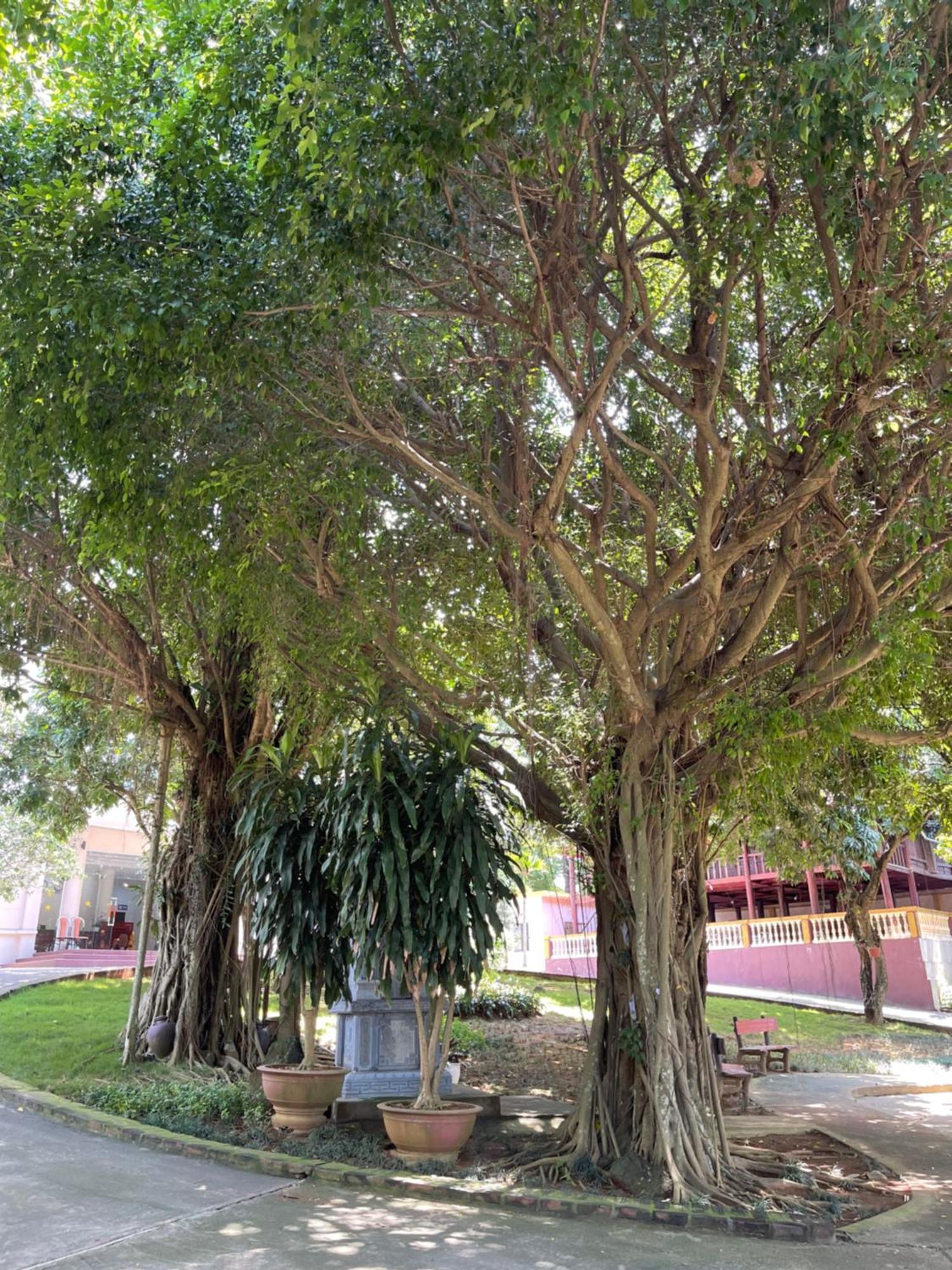 Thien Binh Hotel Hòa Bình Zewnętrze zdjęcie